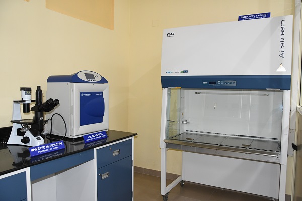 Facilities